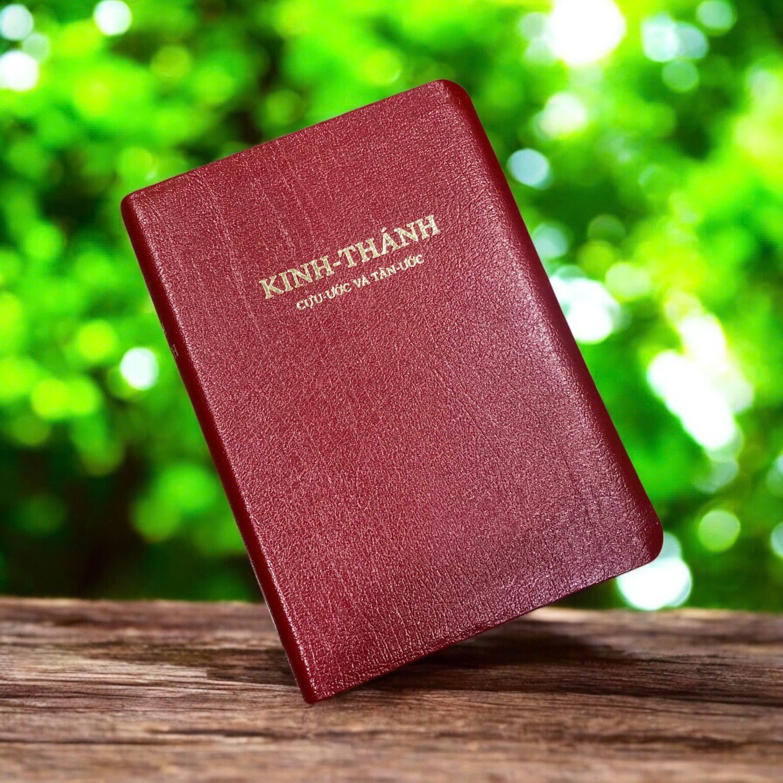 z7523818690304_4e6fa9a001c90d119b87352cd5e71c94-1536x1536