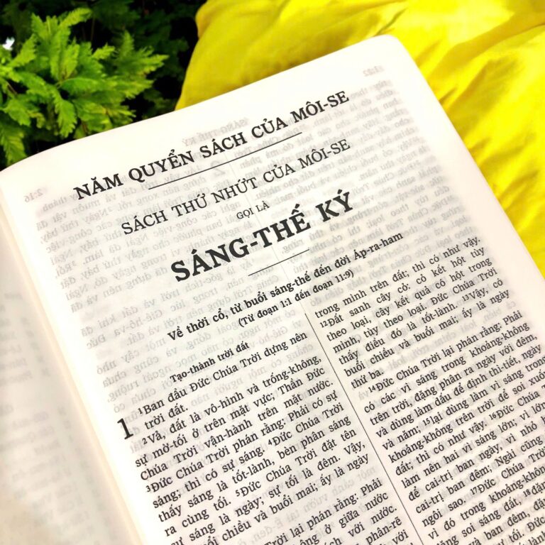 z7523818724633_855acc24e66c7fced895c785736b5a29-768x768